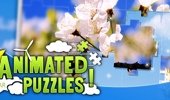 Animated Puzzles Star image