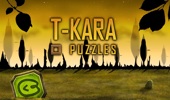 T-kara puzzles image
